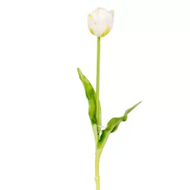 Tulipán szálas gumi krém 40cm