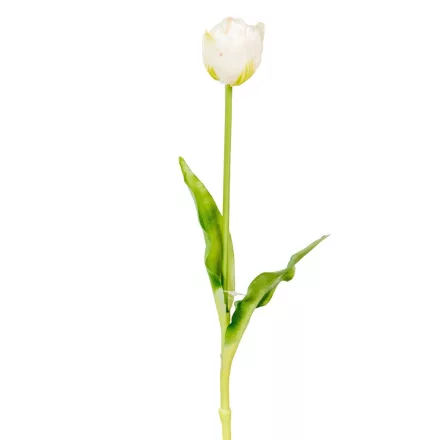 Tulipán szálas gumi krém 40cm