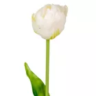 Tulipán szálas gumi krém 40cm