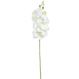 Gumi orchidea ág 78cm Gumi orchidea ág 78cm