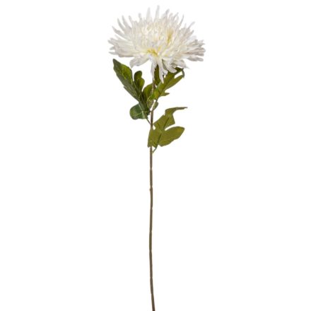 Krizantém szálas krém 70cm
