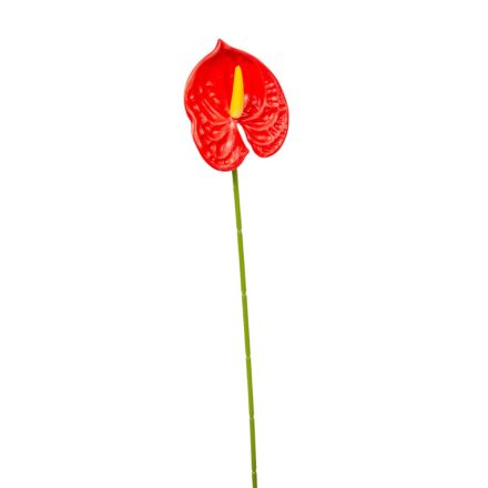 Flamingóvirág szálas gumi piros 40cm