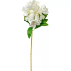 Asztromeria ág 6 virágos krém 60cm