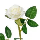 Rózsa szálas krém 26cm