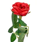 Rózsa szálas piros 26cm