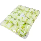 Rózsa virágfej D7cm ivory 301 24db/csom