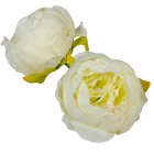 Peónia virágfej 8cm krém 300