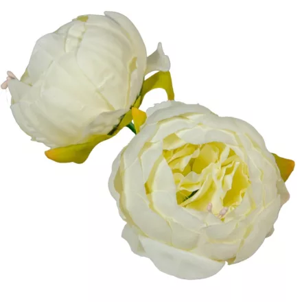 Peónia virágfej 8cm krém 300