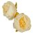Peónia virágfej 8cm ivory 310