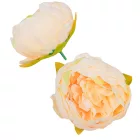 Peónia virágfej 8cm barack 925A