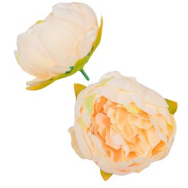 Peónia virágfej 8cm barack 925A Peónia virágfej 8cm barack 925A