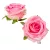 Rózsa virágfej nyílt bársony hatású 8cm mályva 6 darabos csomagban rendelhető (darab ár!)