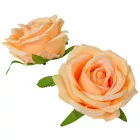 Rózsa nyílt bársony hatású 8cm barack 6 darabos csomagban rendelhető (darab ár!)