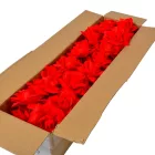 Rózsa virágfej nyílt 10cm piros 10 darabos csomagban rendelhető (darab ár!)