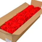 Rózsa virágfej D10cm 400 60db/#
