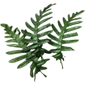 Páfrány levél 20cm