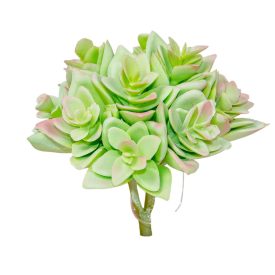 Kövirózsa 10cm Kövirózsa 10cm