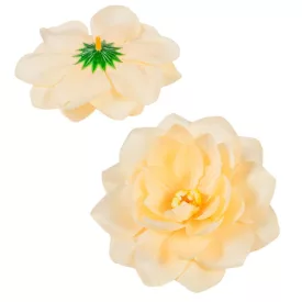   Tavirózsa virágfej 11cm barack 5 darabos csomagban rendelhető (darab ár!)