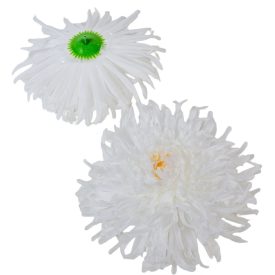 Krizantém virágfej fehér D15cm 6db/csom Krizantém virágfej fehér D15cm 6db/csom