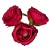 Rózsa virágfej D7cm 408 24db/csom