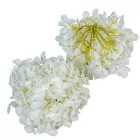 Hortenzia fej 15cm fehér 4 darabos csomagban rendelhető (darab ár!)