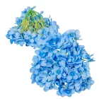 Hortenzia fej 15cm kék 4 darabos csomagban rendelhető (darab ár!)