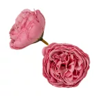 Boglárka virágfej 5,5cm sötétrózsaszín 4 darabos csomagban rendelhető (darab ár!)