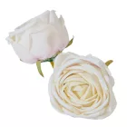 Rózsa virágfej D7cm ivory BR12 24db/csom