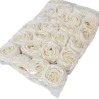 Rózsa virágfej D7cm ivory BR12 24db/csom