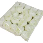 Rózsa virágfej D7cm krém R1 24db/csom