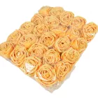 Rózsa virágfej D7cm barack R7 24db/csom