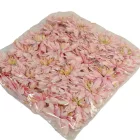 Dália virágfej D11cm világos rózsa D4 24db/csom