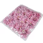 Dália virágfej D11cm világos lila D6 24db/csom