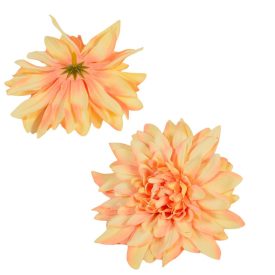 Dália virágfej D11cm barack D7 24db/csom Dália virágfej D11cm barack D7 24db/csom