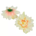 Dália virágfej D10cm 24db/csom