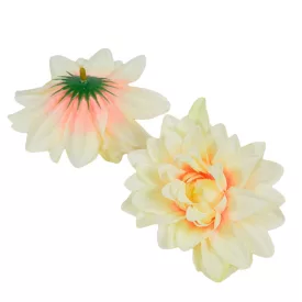 Dália virágfej D10cm 24db/csom