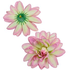 Dália virágfej D10cm zöldes lila D9 24db/csom Dália virágfej D10cm zöldes lila D9 24db/csom