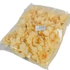 Dália virágfej D10cm salmon R2 24db/csom