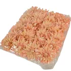 Dália virágfej D13cm rózsa mix 615 24db/csom