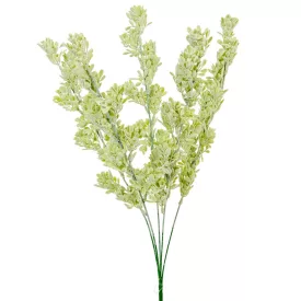 Komló bokor 5 ágú 56cm