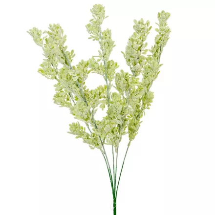 Komló bokor 5 ágú 56cm