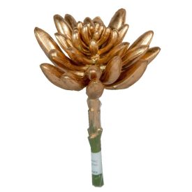 Kövirózsa metál arany 13cm Kövirózsa metál arany 13cm