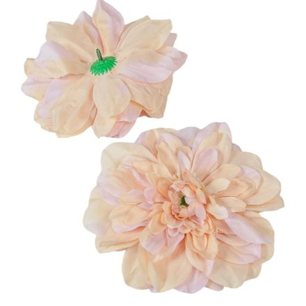 Dália virágfej D14cm 12db/csom D2 capuccino