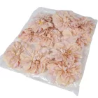 Dália virágfej 14cm capuccino 3 darabos csomagban rendelhető (darab ár!)