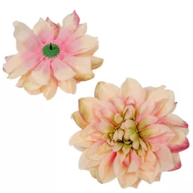   Dália virágfej 14cm barack 3 darabos csomagban rendelhető (darab ár!)