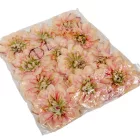 Dália virágfej 14cm barack 3 darabos csomagban rendelhető (darab ár!)