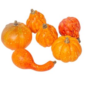 Tök műa. 6-8cm 12db-os Tök műa. 6-8cm 12db-os