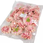 Dália virágfej világosmályva 7,5cm 4 darabos csomagban rendelhető (darab ár!)