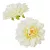 Dália virágfej krém 7,5cm 4 darabos csomagban rendelhető (darab ár!)