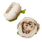 Peónia virágfej 9cm cappuccino 4 darabos csomagban rendelhető (darab ár!)